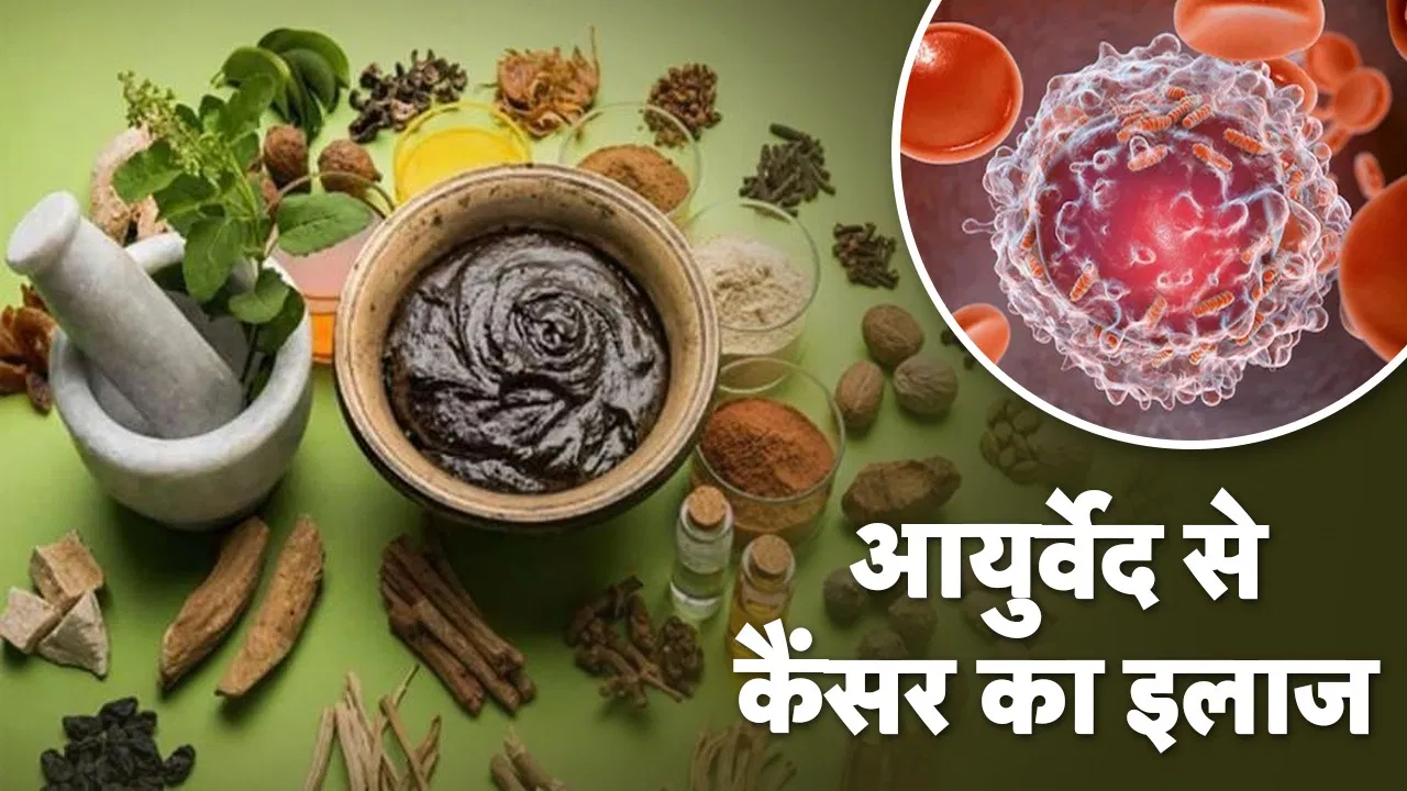 Can cancer be defeated with Ayurveda, know from the doctor